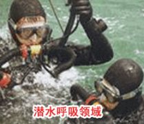 成功羞羞视频黄免费在线播放