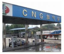 成功羞羞视频黄免费在线播放